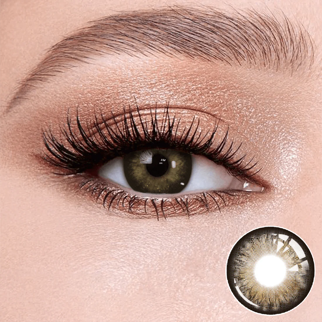 Mistic Brown Contact Lenses