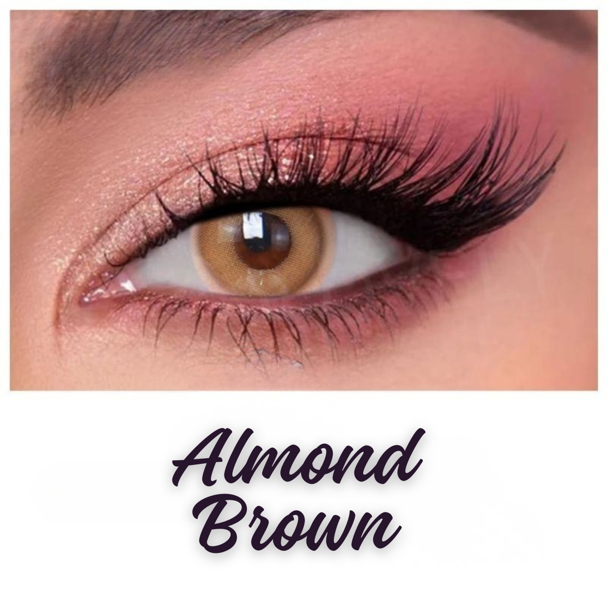 Almond Brown – Soft Natural Brown Contact Lenses